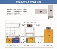 危化品柜专用空气净化箱